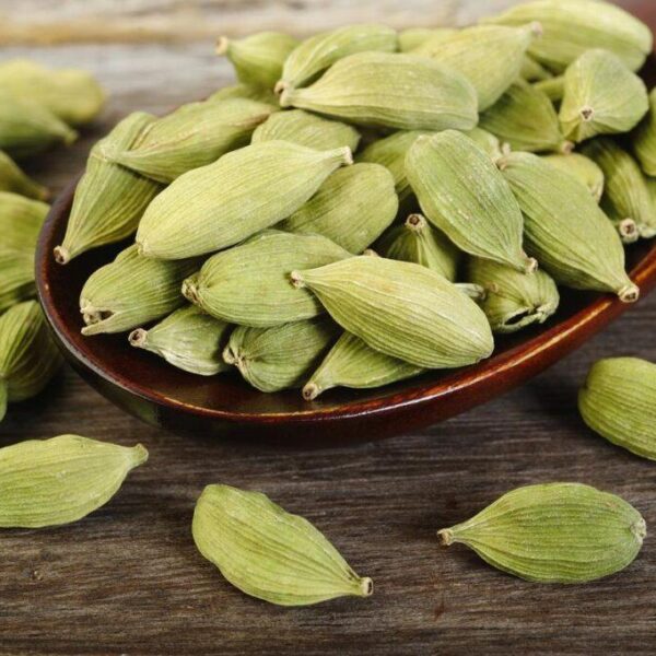 هيل كاردكس امريكي الدرجة الأولى جامبو